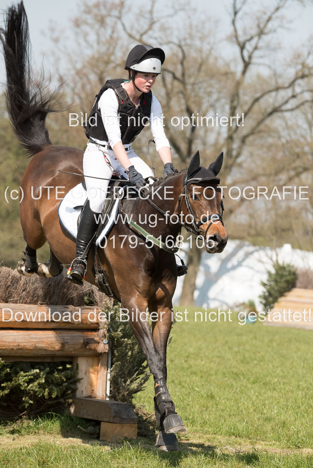 24042019--Springpferde-L_080.jpg