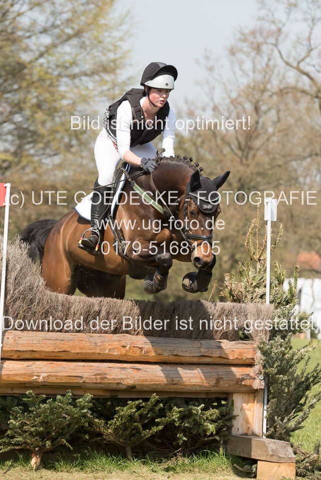 24042019--Springpferde-L_082.jpg