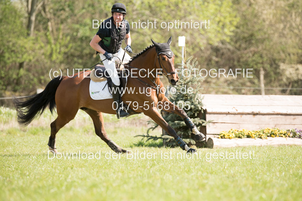 24042019--Springpferde-L_088.jpg