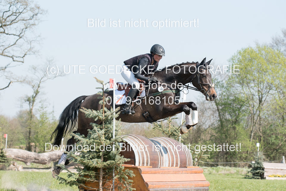 24042019--Springpferde-L_089.jpg