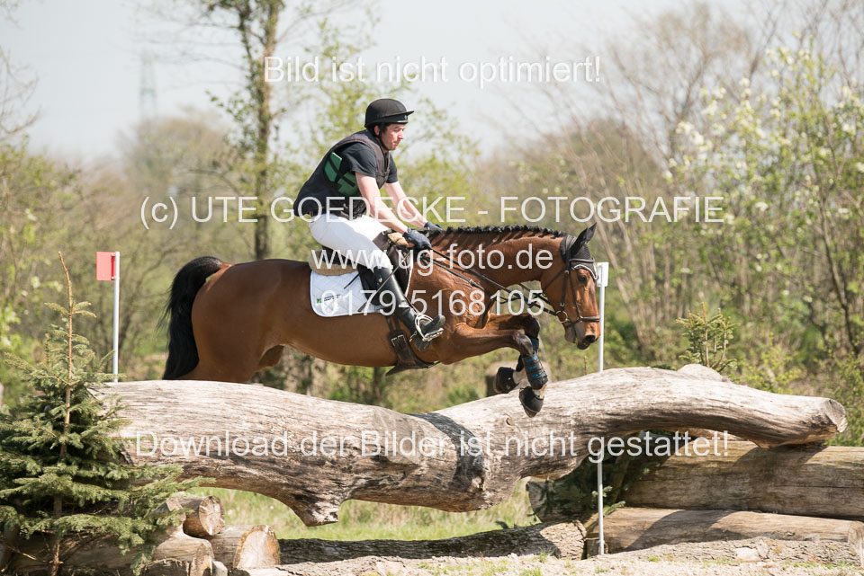 24042019--Springpferde-L_092.jpg