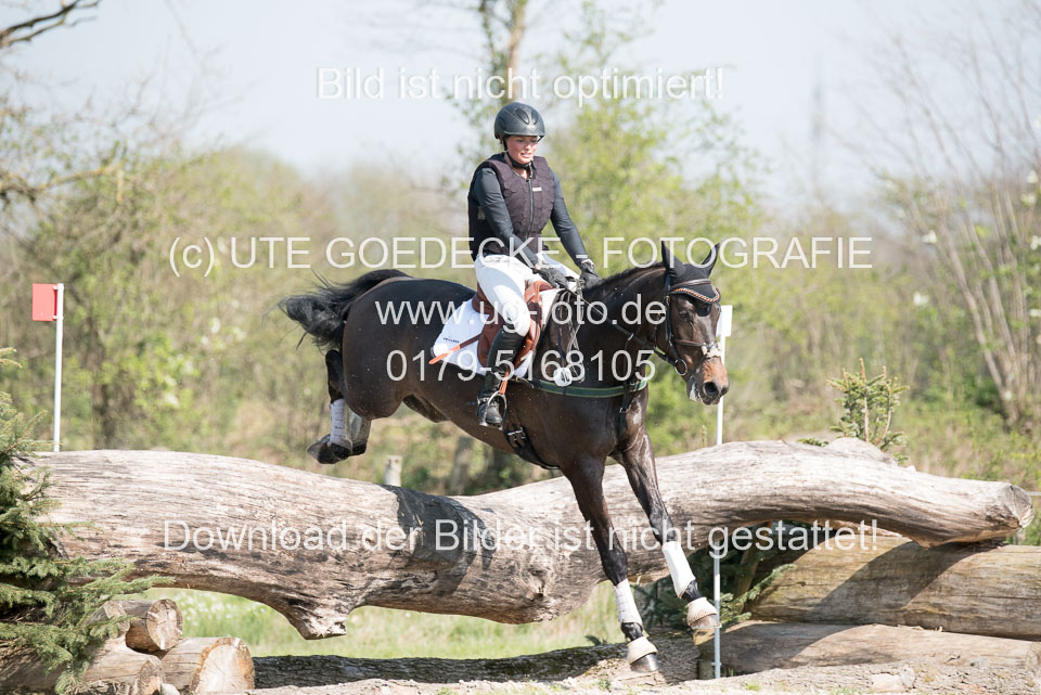 24042019--Springpferde-L_095.jpg