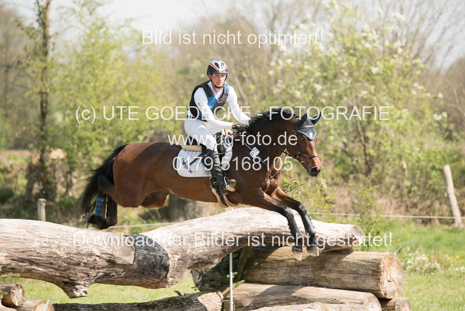 24042019--Springpferde-L_098.jpg