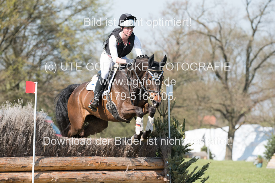 24042019--Springpferde-L_099.jpg