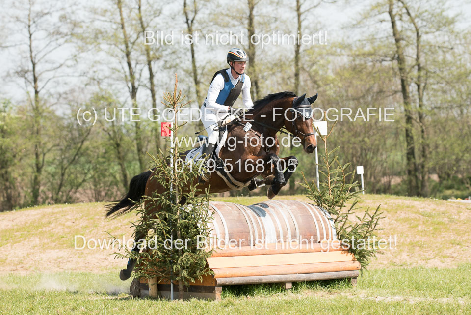 24042019--Springpferde-L_104.jpg