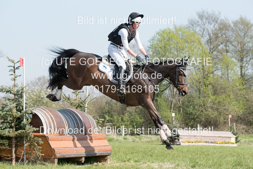 24042019--Springpferde-L_109.jpg