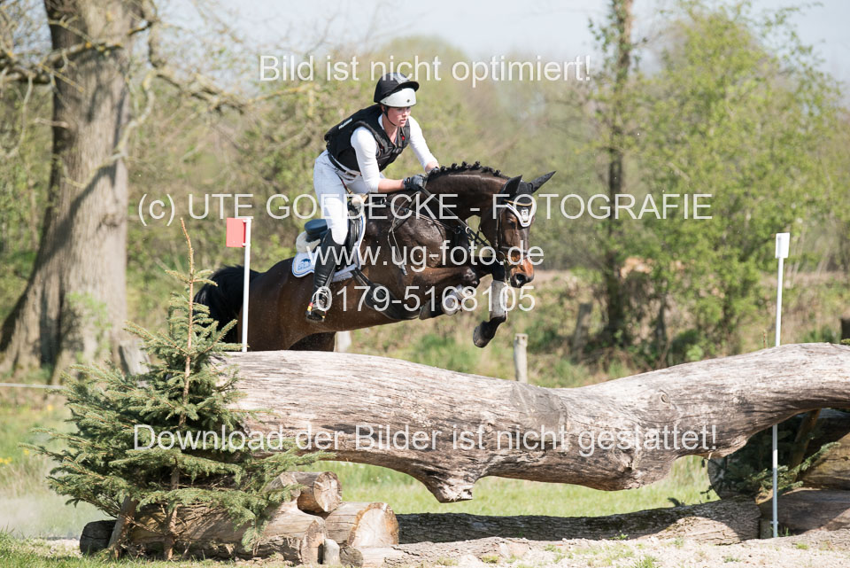 24042019--Springpferde-L_111.jpg