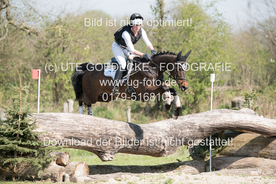 24042019--Springpferde-L_113.jpg