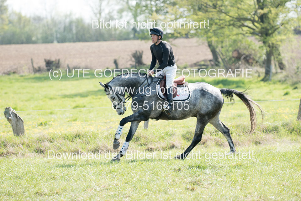 24042019--Springpferde-L_117.jpg