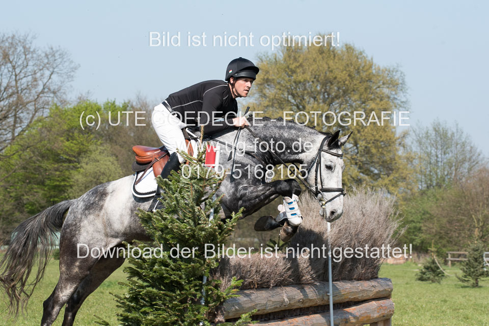 24042019--Springpferde-L_121.jpg