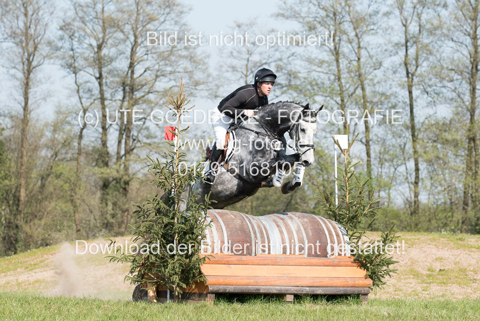 24042019--Springpferde-L_123.jpg