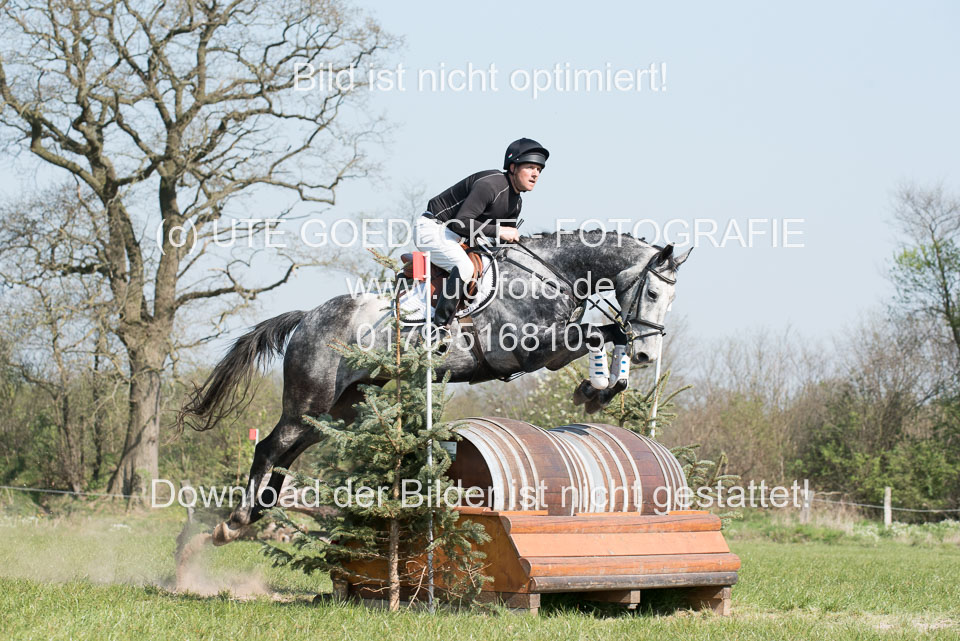 24042019--Springpferde-L_125.jpg