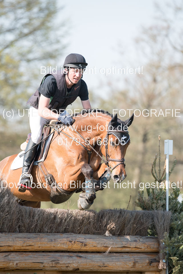 24042019--Springpferde-L_130.jpg