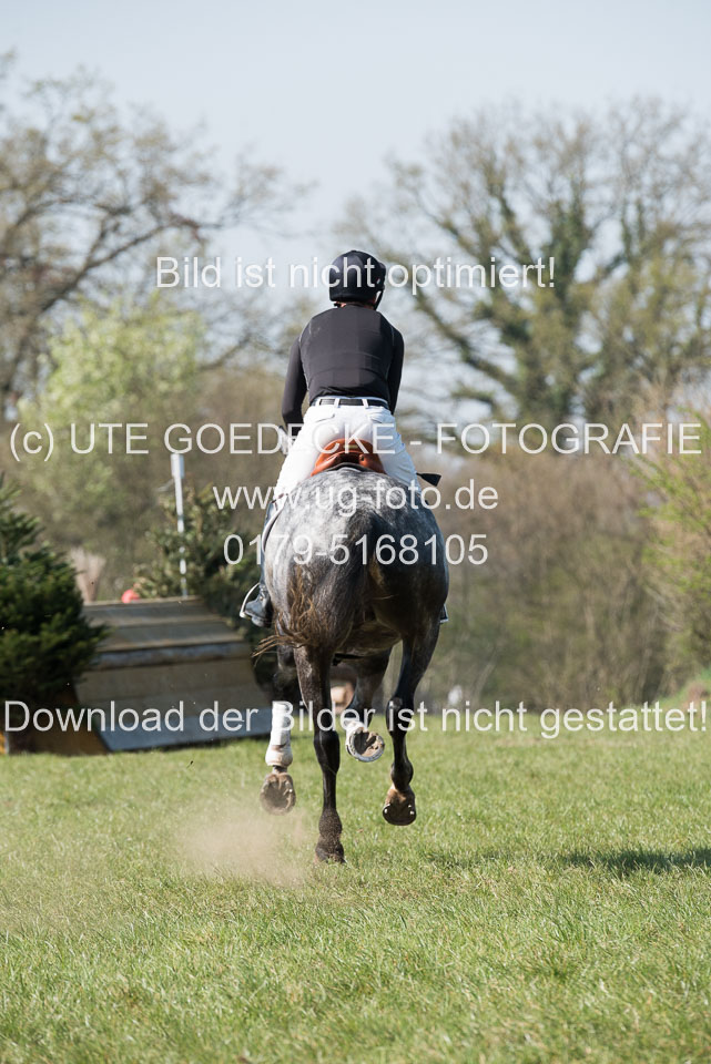 24042019--Springpferde-L_131.jpg