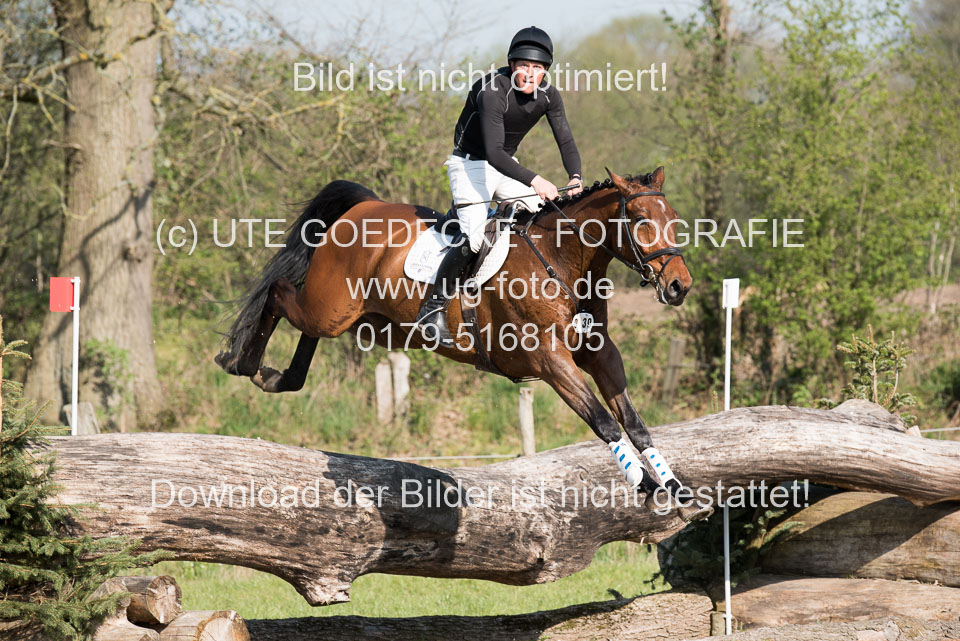 24042019--Springpferde-L_132.jpg