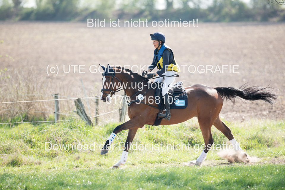 24042019--Springpferde-L_133.jpg