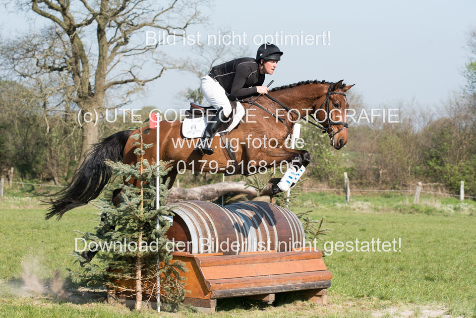 24042019--Springpferde-L_138.jpg
