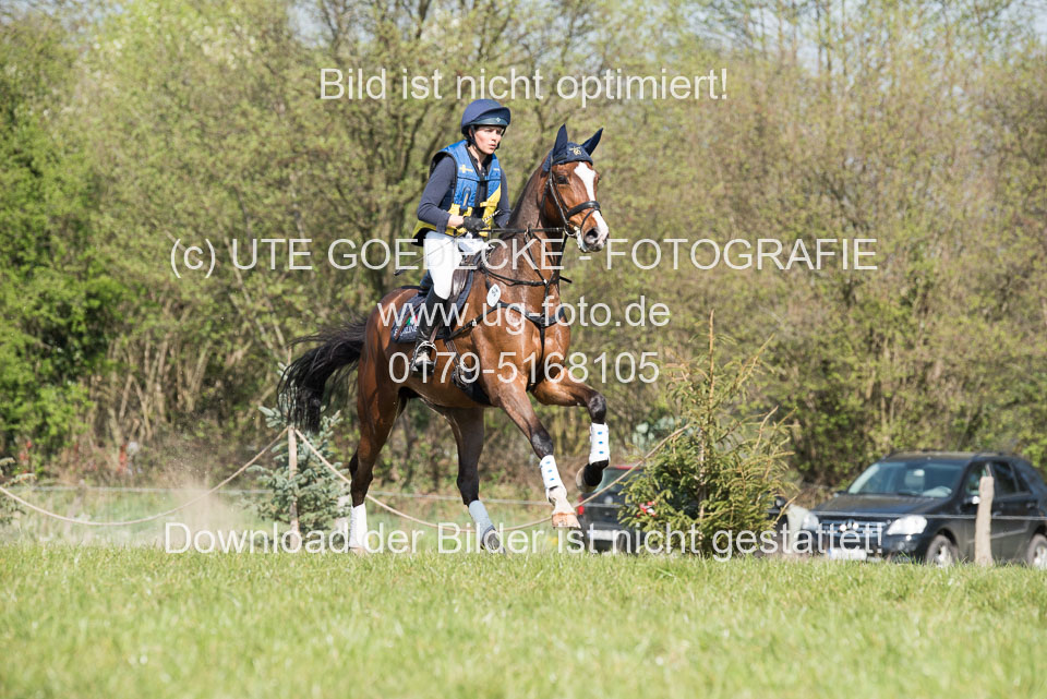 24042019--Springpferde-L_139.jpg