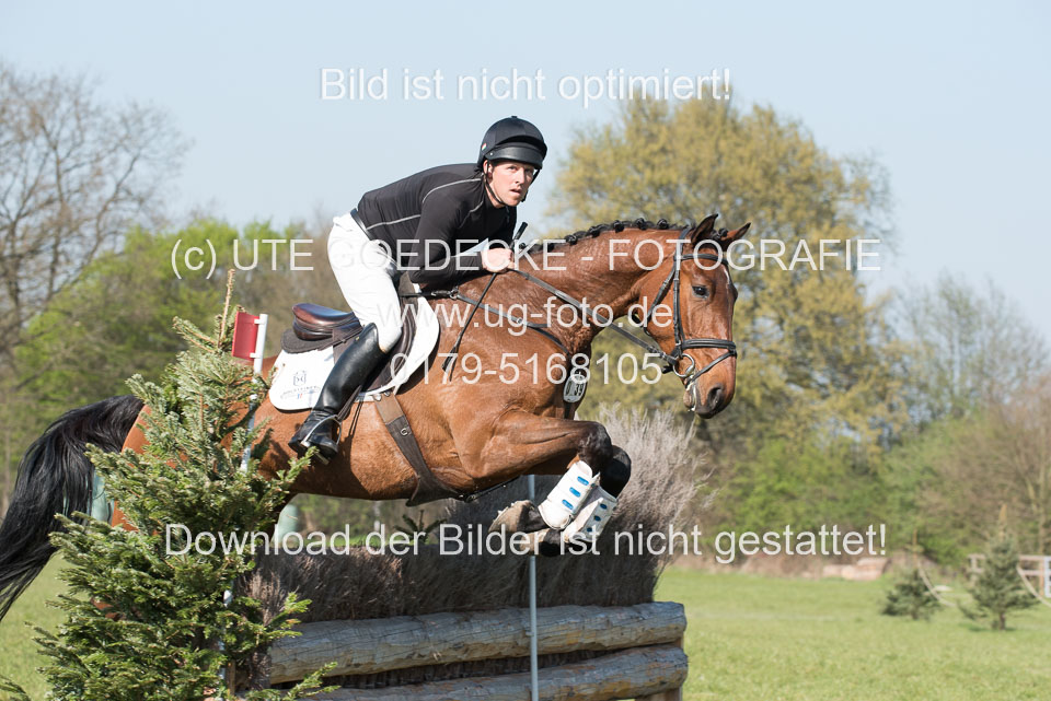 24042019--Springpferde-L_142.jpg