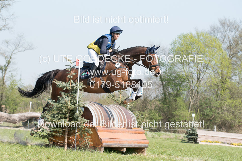 24042019--Springpferde-L_143.jpg