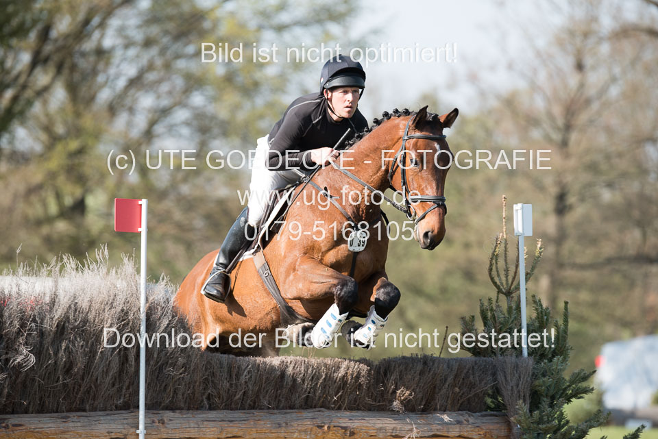 24042019--Springpferde-L_144.jpg