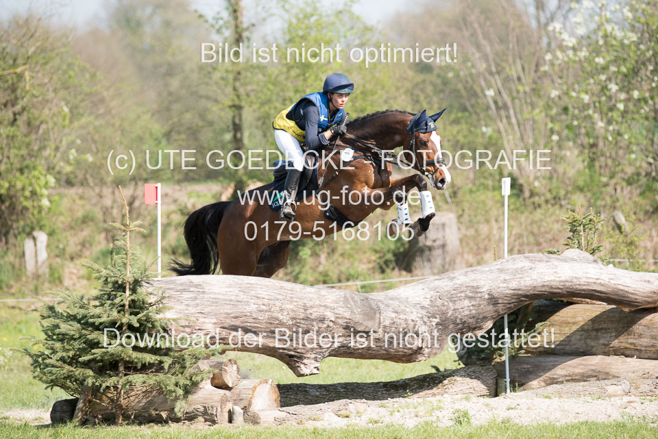 24042019--Springpferde-L_145.jpg