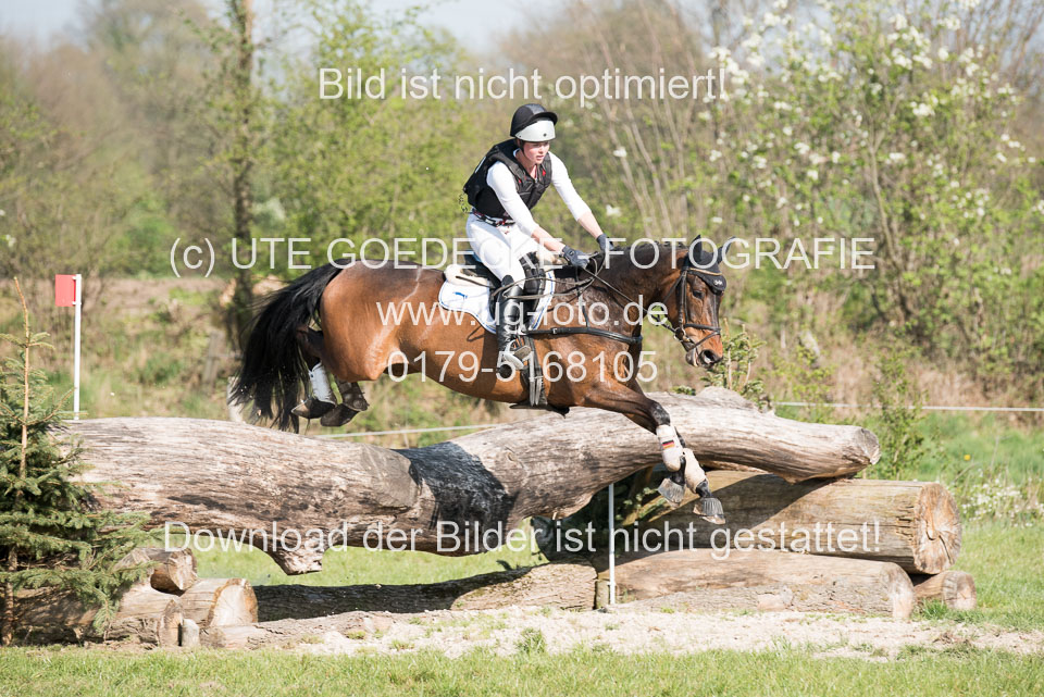 24042019--Springpferde-L_148.jpg