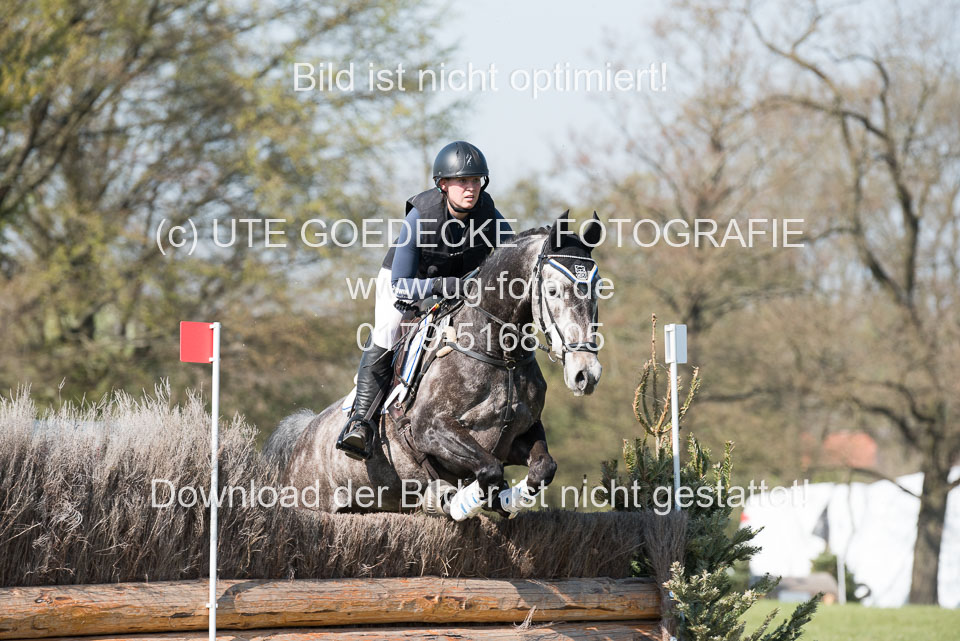 24042019--Springpferde-L_151.jpg