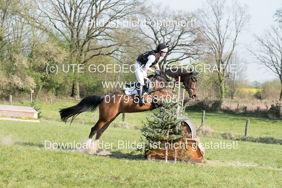 24042019--Springpferde-L_154.jpg