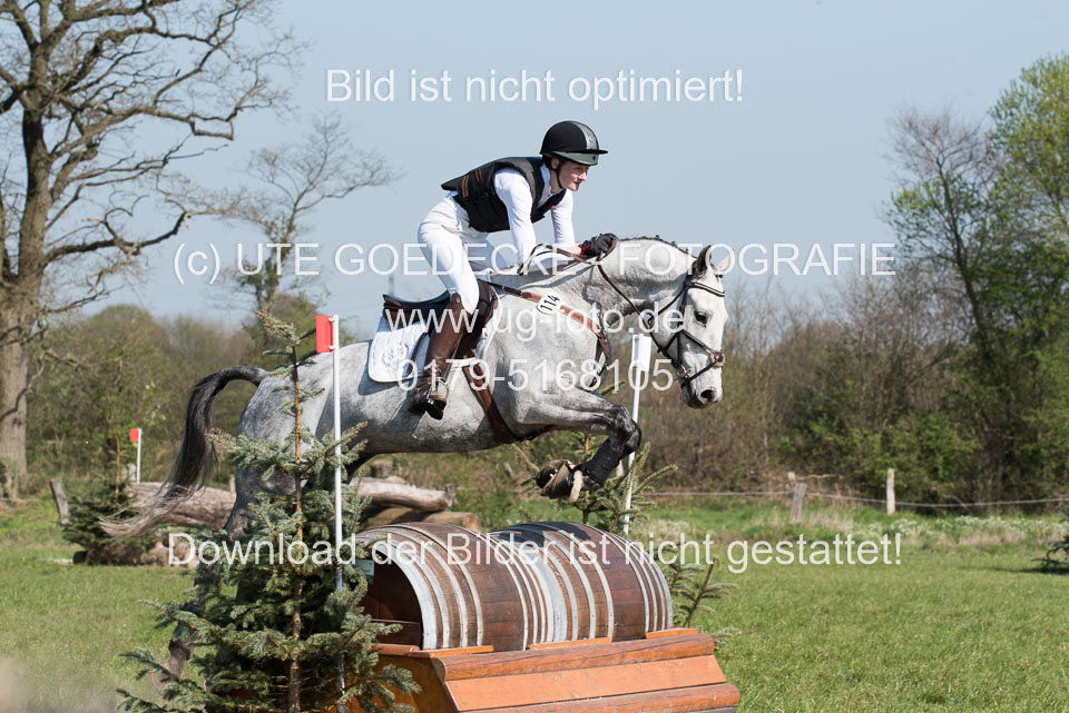 24042019--Springpferde-L_161.jpg