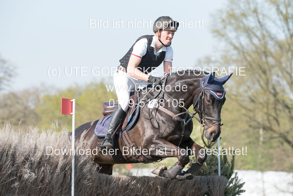 24042019--Springpferde-L_166.jpg