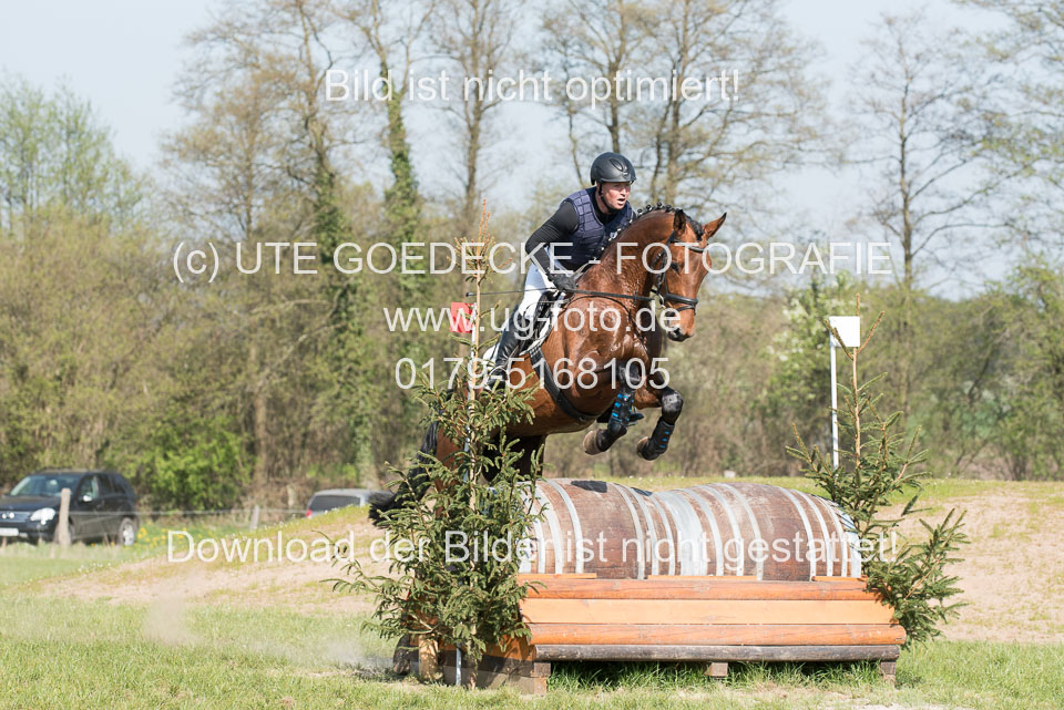 24042019--Springpferde-L_167.jpg
