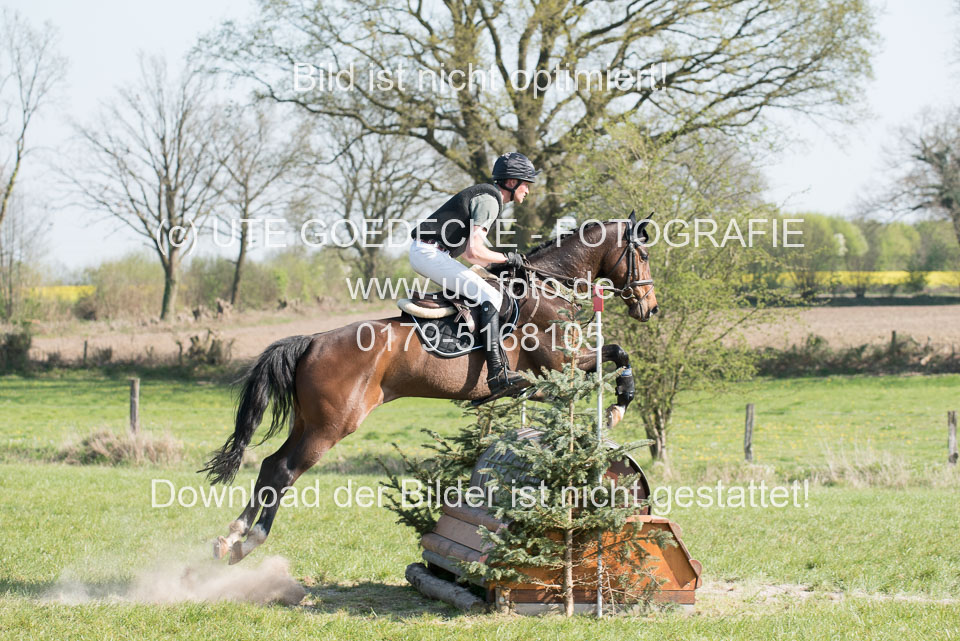 24042019--Springpferde-L_170.jpg