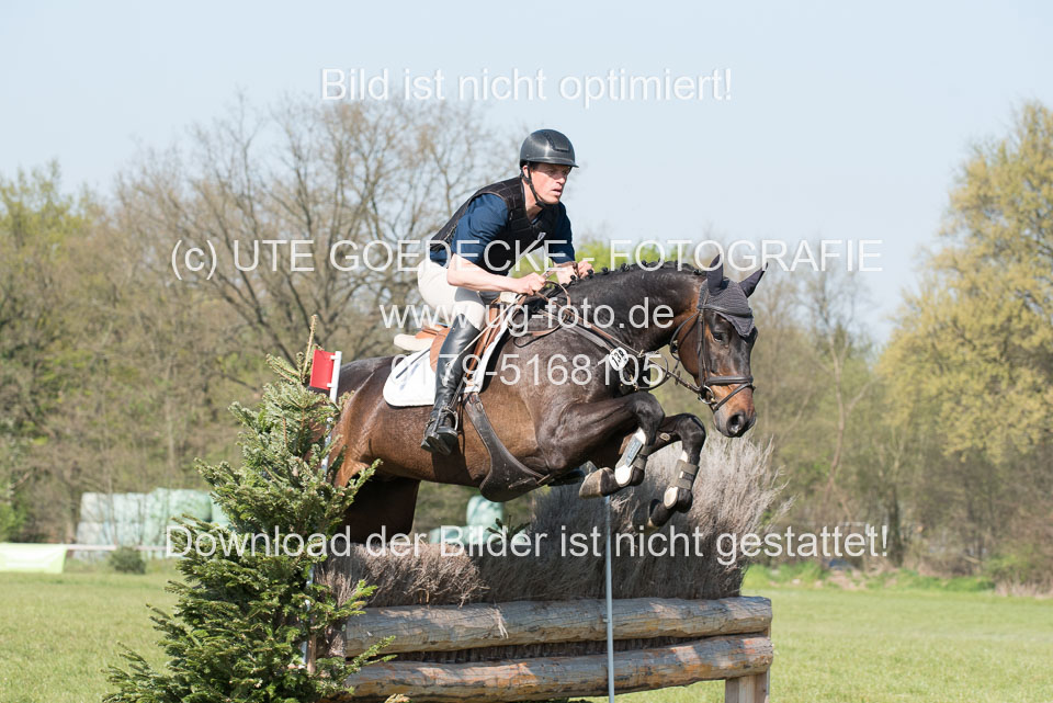 24042019--Springpferde-L_173.jpg