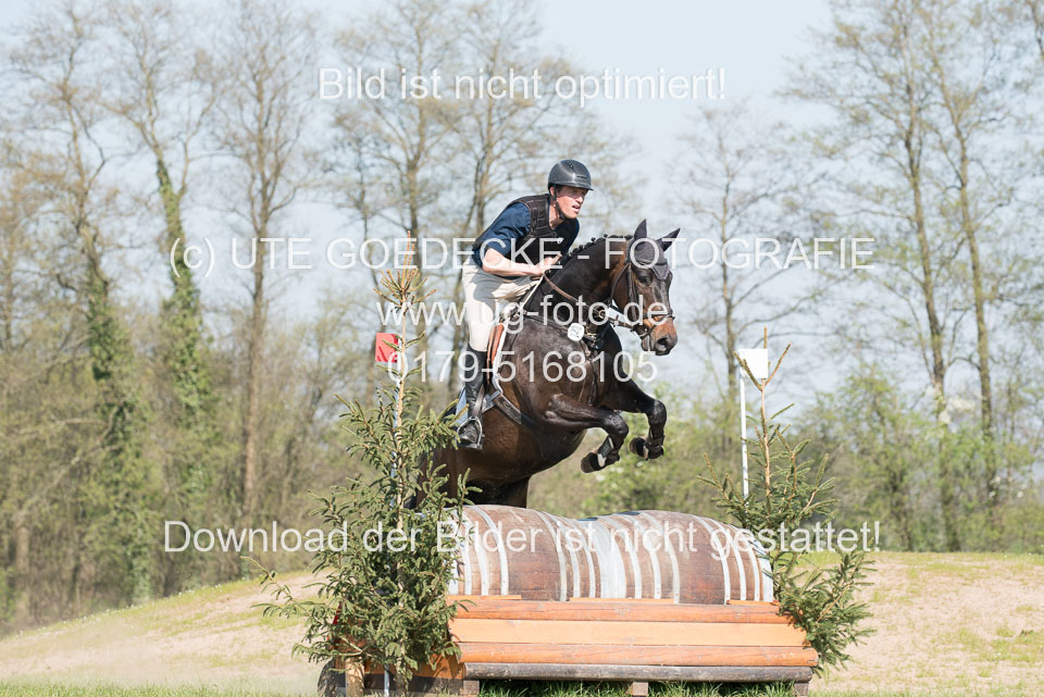 24042019--Springpferde-L_175.jpg