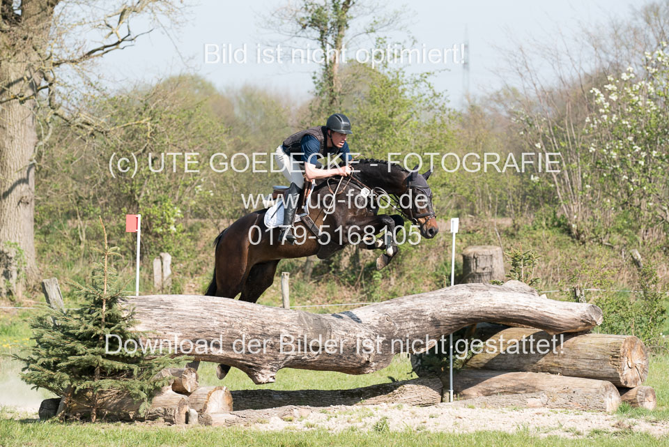 24042019--Springpferde-L_179.jpg