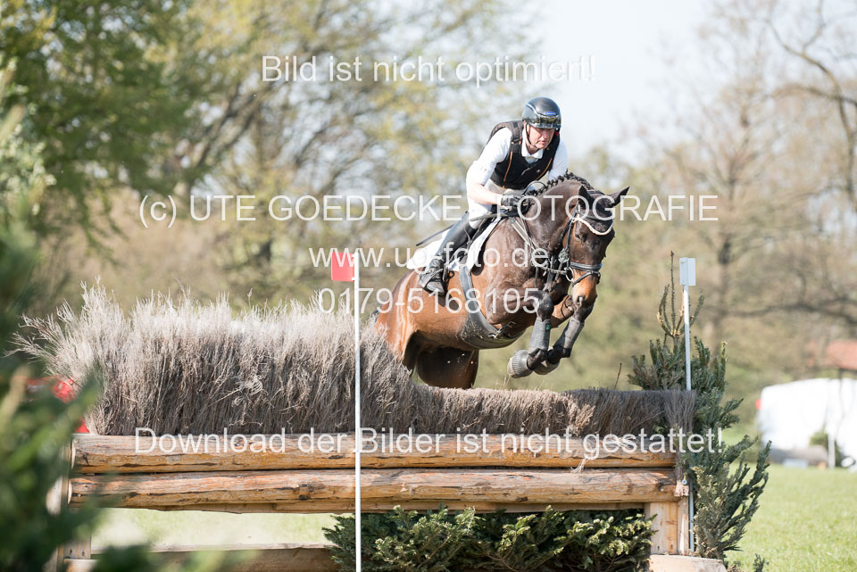 24042019--Springpferde-L_182.jpg