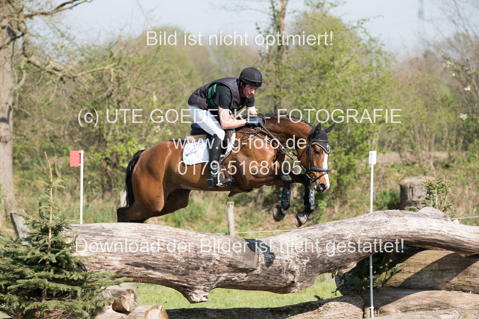 24042019--Springpferde-L_185.jpg