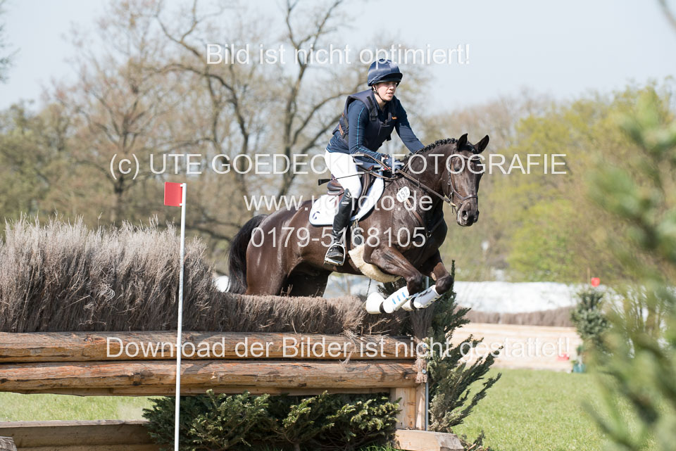 24042019--Springpferde-L_187.jpg