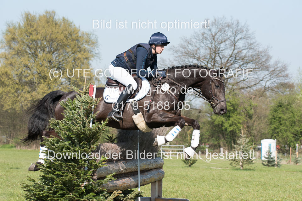 24042019--Springpferde-L_189.jpg