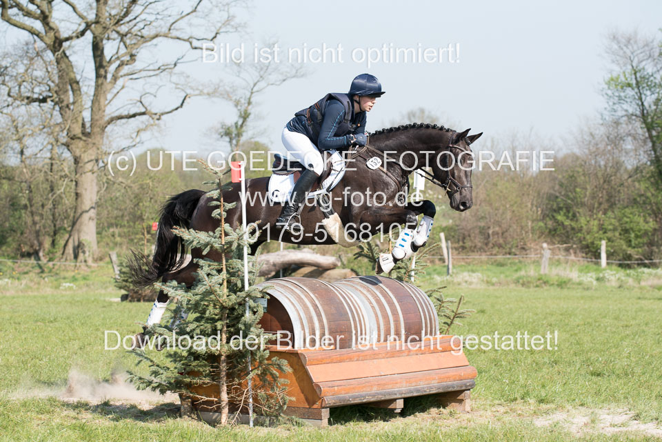 24042019--Springpferde-L_195.jpg