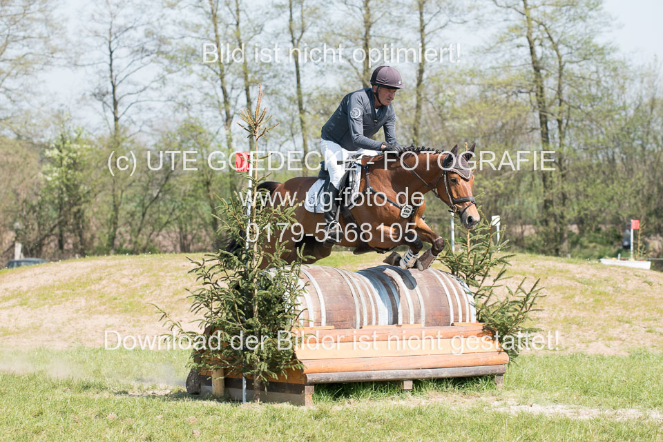 24042019--Springpferde-L_197.jpg