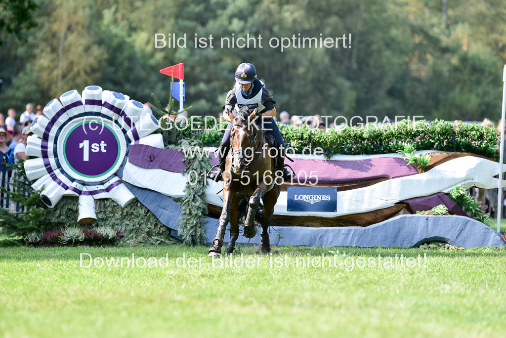 FEI Eventing European Championships 2019 in Luhmühlen | Super Cillious - Vittoria PANIZZON (ITADSC_8450)