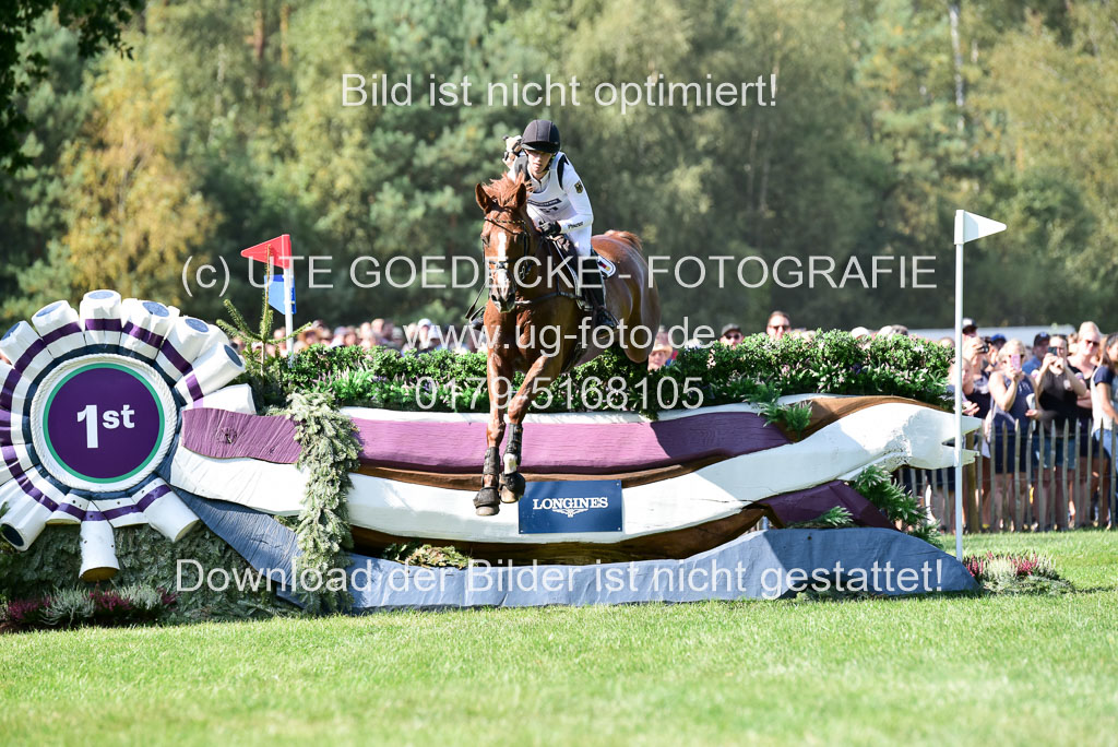 FEI Eventing European Championships 2019 in Luhmühlen | Auffarth, Sandra - Viamont du Matz_06