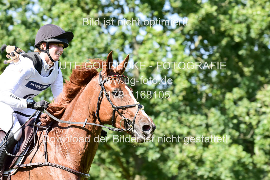 FEI Eventing European Championships 2019 in Luhmühlen | Auffarth, Sandra - Viamont du Matz_29