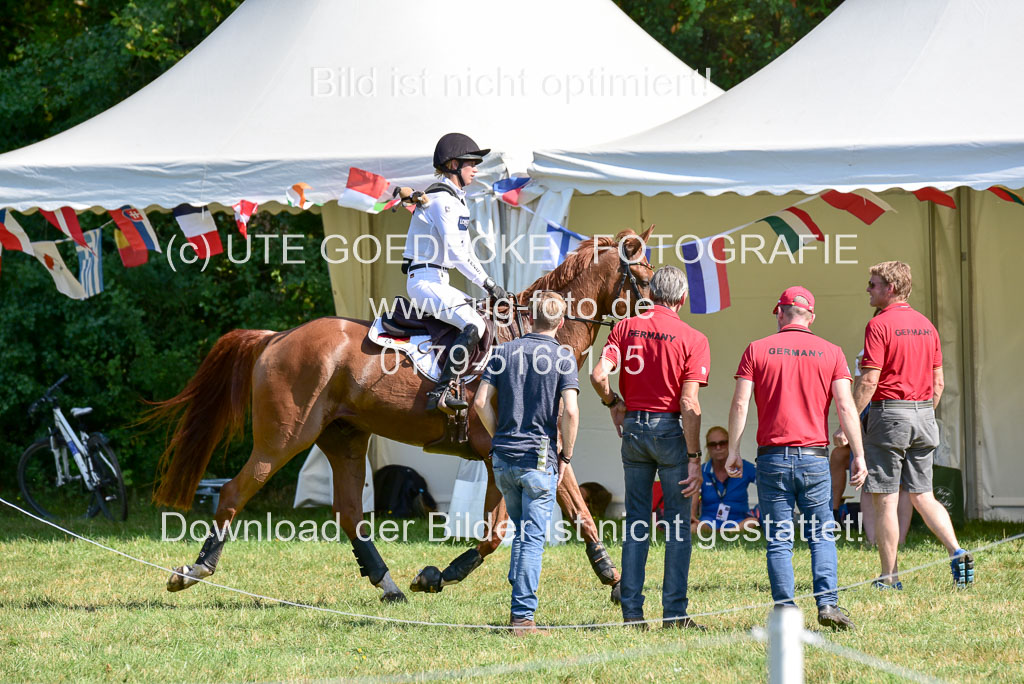 FEI Eventing European Championships 2019 in Luhmühlen | Auffarth, Sandra - Viamont du Matz_35