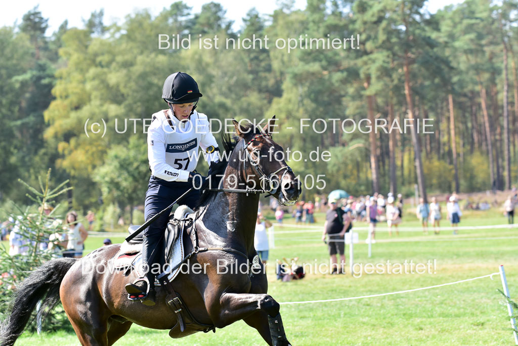 FEI Eventing European Championships 2019 in Luhmühlen | Etzel, Felix - Bandit_10