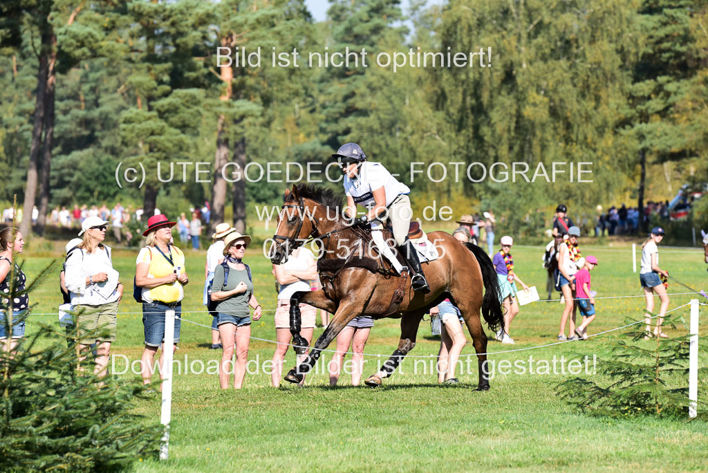 FEI  Eventing European Championships 2019 in Luhmühlen | Funell, Pippa - Majas Hope_3 