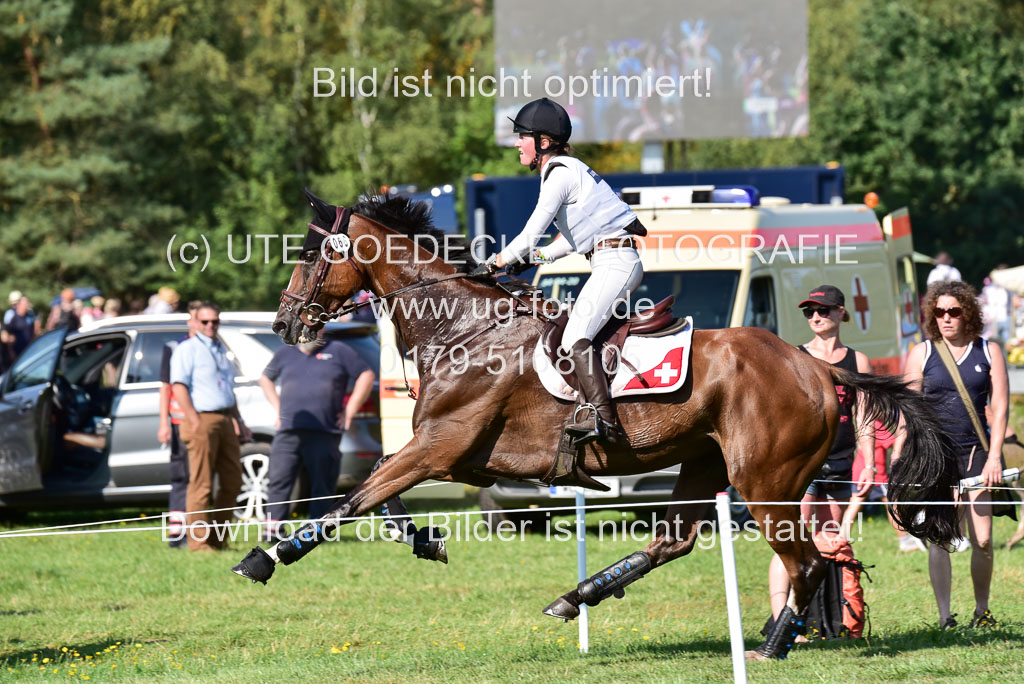 FEI  Eventing European Championships 2019 in Luhmühlen | Gerber, Caroline - TGresoe de _3 