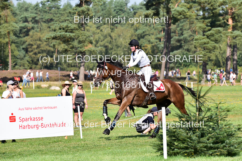 FEI  Eventing European Championships 2019 in Luhmühlen | Gerber, Caroline - TGresoe de _4 